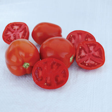 Saucy Lady, Tomato Seeds - Packet image number null